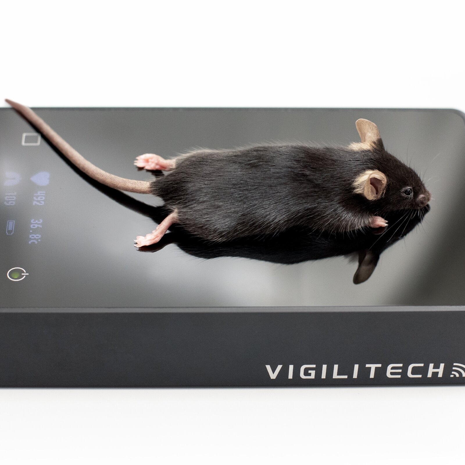 Product big image