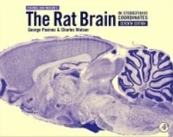 Product-image-Rat Brain in Stereotaxic Coordinates, 7th Edition           