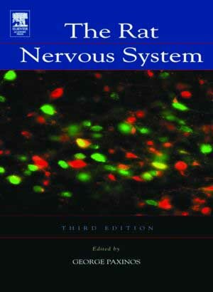 Product-image-Rat Nervous System