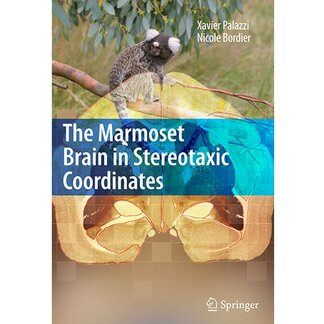 Product-image-Marmoset Brain in Stereotaxic Coordinates              