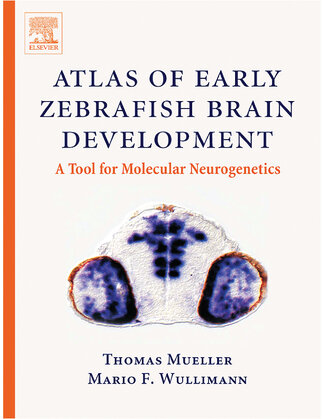 Product-image-Atlas of Early Zebrafish Brain Development                  